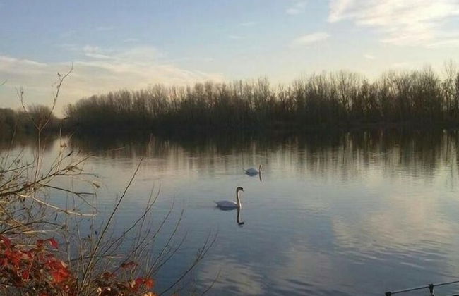 La Finestra sul Po Agriturismo - Foto 32