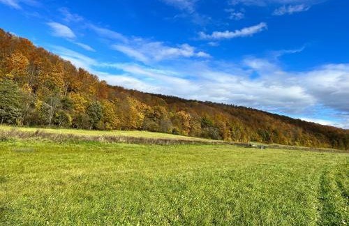 Domki nad Stawem Uherce - Foto 67