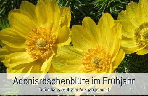 Ferienhaus Lebuser Land für bis zu 4 Personen mit 1300 qm Garten und Privatsauna, grandiosen Blick über die Oder, sonntags late check out bis 18 Uhr inklusive - Photo 8