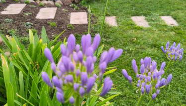 Apartment in Müncheberg 53547 - Foto 3, Garden