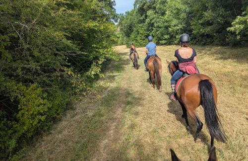 En Françaison Gîte en Lomagne Gersoise - Photo 43