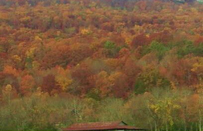 Little River Guest House at Tennessee RiverPlace - Foto 44