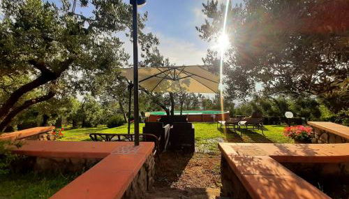 Il Palagio - Foto 4, Garden view