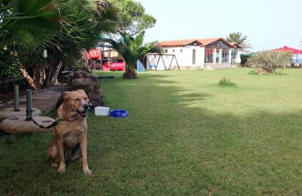 Irida Beach Resort Suites - Foto 32