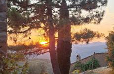 Casa del Contadino Rapale - Foto 66