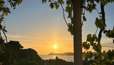 Family apartments Dominković - Foto 3