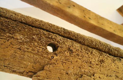 Shepherds Retreat - Photo 18