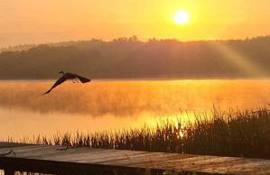 Green House - nad jeziorem z pomostem - Foto 21