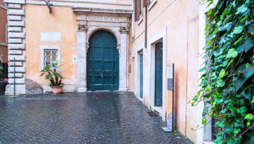 Il sogno delle tartarughe - Foto 2