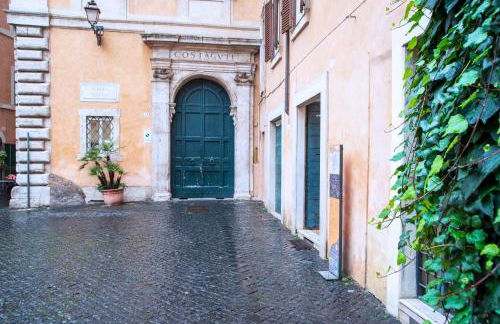 Il sogno delle tartarughe - Foto 2