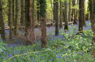 The Stables - Foto 36