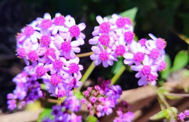 CASA CRUZ EL LLANO - Foto 26