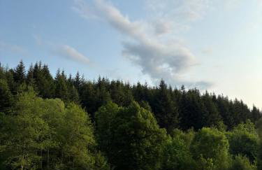 Nad Mikowym Potokiem - wydzielona część drewnianego domu z osobnym wejściem i ogrodem - Foto 58