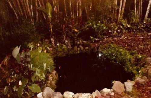 The Red Cottage and Hawaiian Pond Garden Paradise! - Foto 19