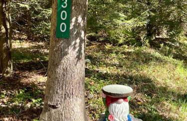 Cozy Log Cabin in Jim Thorpe - Foto 3