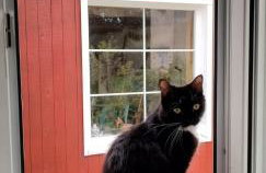 Three Little Birds Artists Residence - Foto 33