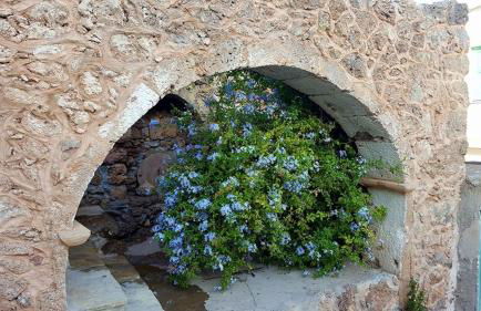 Tania village Zakros maisonette - Foto 32