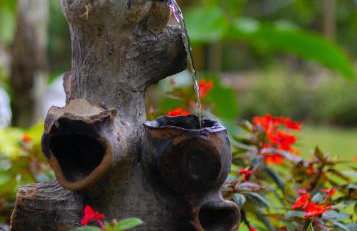 Chalet Schönenberg - Foto 6