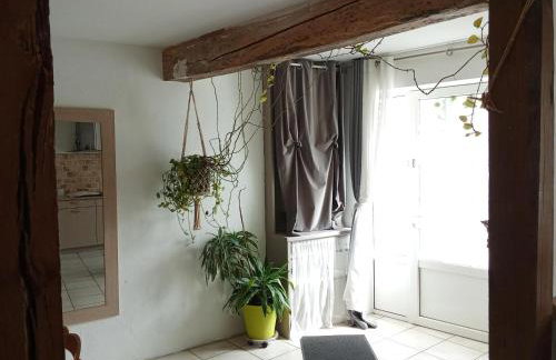 Maison de village aux portes de Toulouse - Photo 16