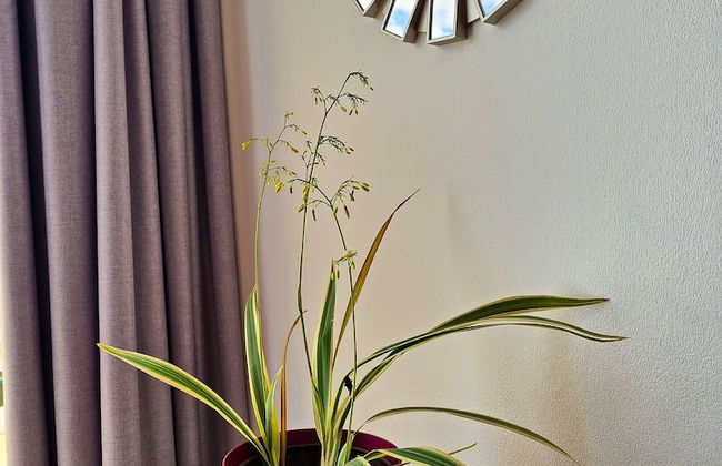 714 Studios - Foto 25