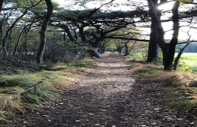 Lakeside Villa Near Sneekermeer - Foto 26