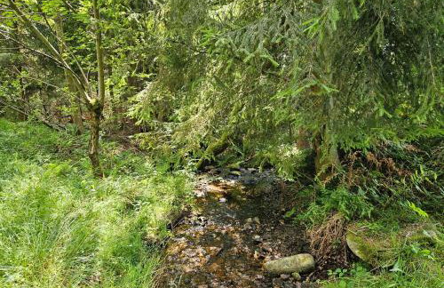 Chata góralska Wojtasówka - Foto 70