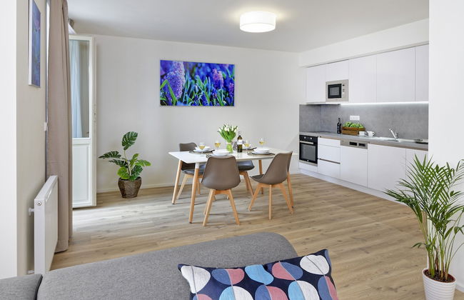 DownTown Suites Jugoslavska - Photo 17