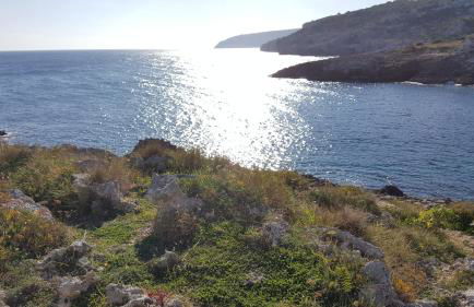 La terrazza sul mare - Marina di Novaglie - Foto 35