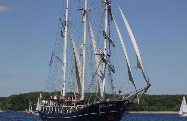 Yellow - Peter's Modern Retreat - Photo 12