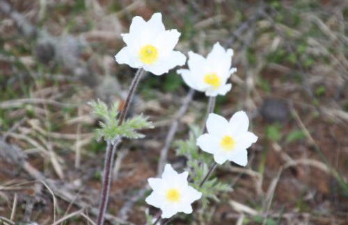 les Gites de l’E.D.E. - Photo 33