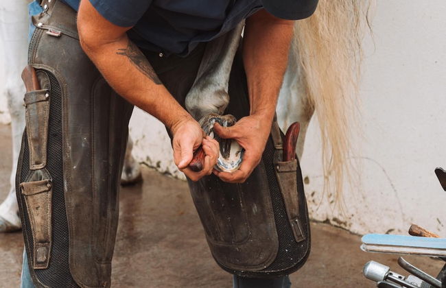 Lusitano Garden Villas - Foto 62