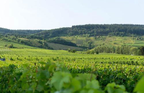 Romantischer Aufenthalt mit Blick auf den Weinberg - Foto 40