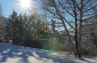 Villa Schonau Apartment 2 in Bad Munstereifel - Foto 68