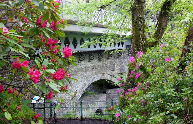 Broncoedwig Devil's Bridge - Foto 9