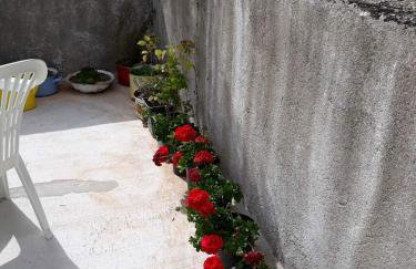 Apartman Milica - Foto 12