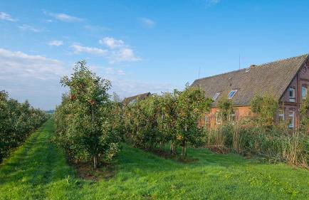 Herta Kruse Ferienwohnungen - Foto 37