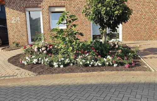 FeWo Holunderbusch - Foto 18