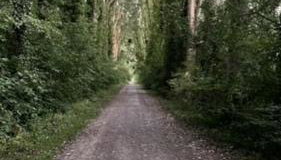 Maison indépendante Chambly 3 chambres - Foto 3