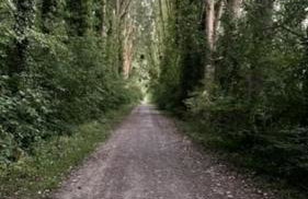 Maison indépendante Chambly 3 chambres - Foto 3