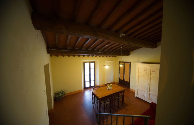 azienda agricola lo zolfino - Foto 41