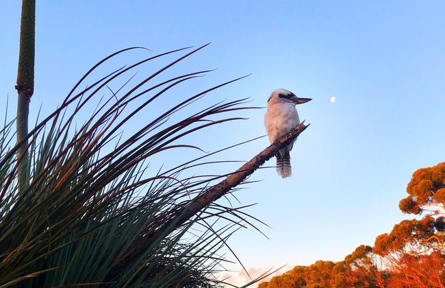 Eleanor River Homestead - Foto 7