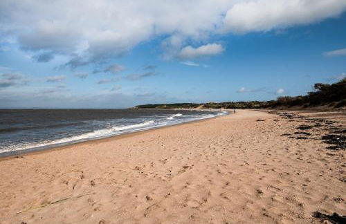 Little Archer - Photo 17