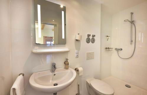 Arber Lofts in Bayerisch Eisenstein - Foto 15