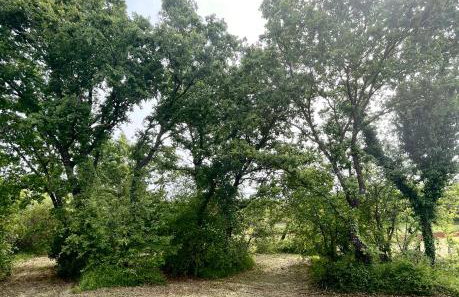 Apartments Sea Heaven - Photo 56