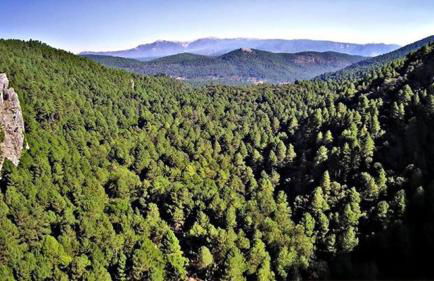 La cabaña del lago en ZAFIRO LAGUNAZO Parque Natural del Río Mundo - Foto 47