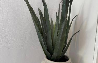 Villa Vida, Medulin - Bazen i jacuzzi - Foto 28