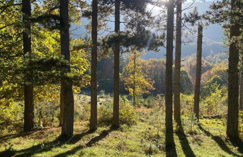 La casa nel bosco-Val Granara guesthouse - Foto 46