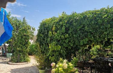 Apartments Rora - Foto 41