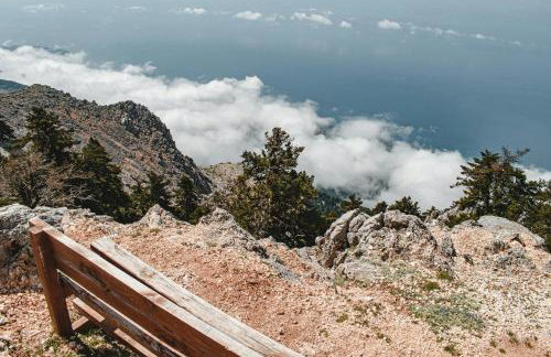 Anemos Studios & Apartments - Foto 44