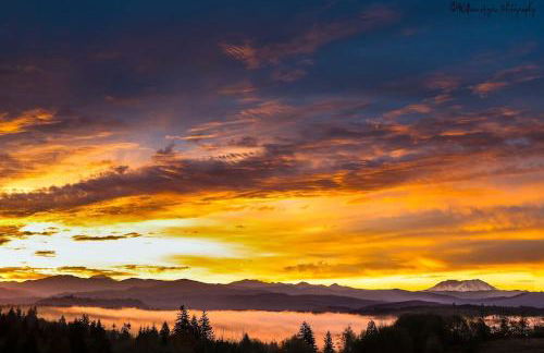 Welcome to Raven Ridge Lodge - where time slows - Photo 44